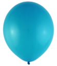 Std_turquoise_-_PMS633_300px (2).png